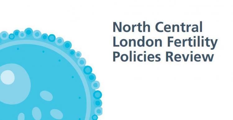 Text saying North Central London Fertility Policies Review Text saying North Central London Fertility Policies Review